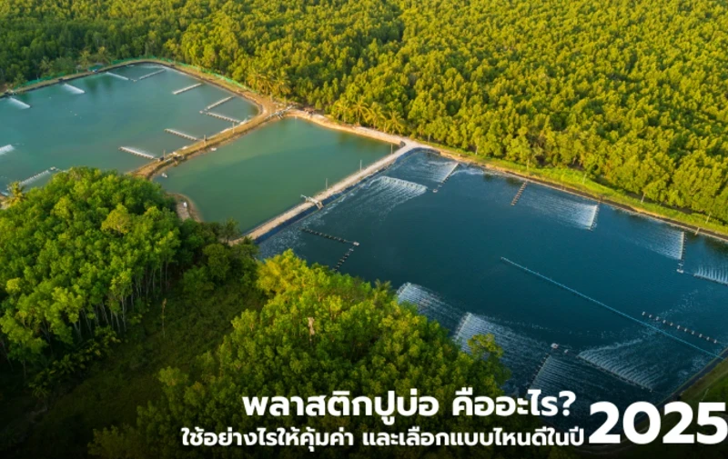 พลาสติกปูบ่อ ใช้อย่างไรให้คุ้มค่า และเลือกแบบไหนดีในปี 2025