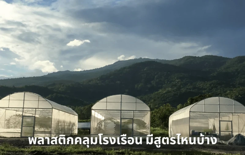 พลาสติกคลุมโรงเรือนแต่ละสูตรแตกต่างกันอย่างไร
