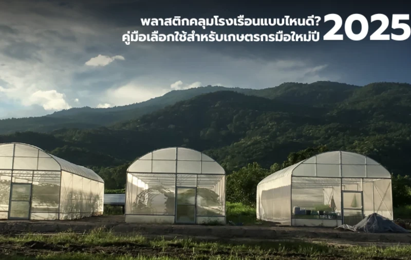พลาสติกคลุมโรงเรือนแบบไหนดี คู่มือสำหรับเกษตรกรมือใหม่