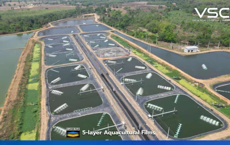 ฟาร์มปลา จ.ขอนแก่น ใช้ HDPE Geomembrane 1.5 mm สำหรับบ่อปลา จำนวน 15 บ่อ