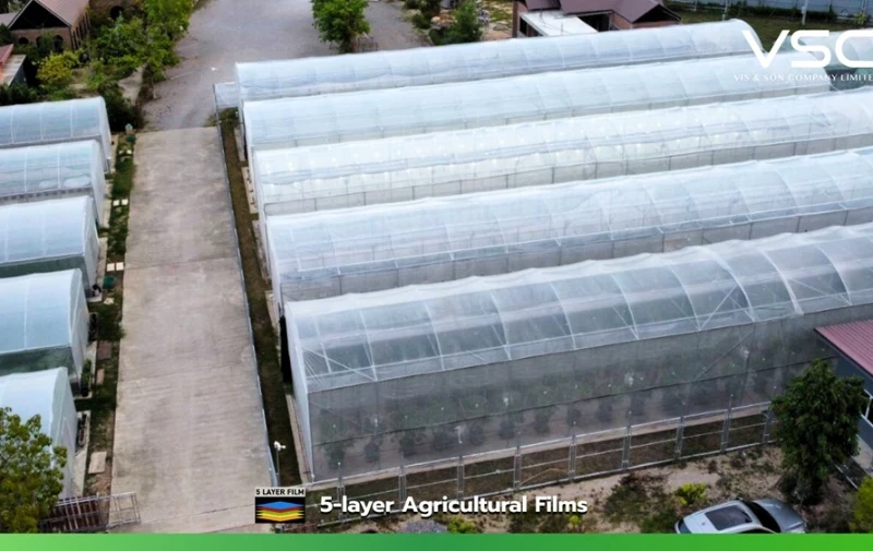โรงเรือนสูตรลดความร้อนกระจายแสง (VSC cooling diffused film) สำหรับปลูกกัญชาเพื่อการแพทย์