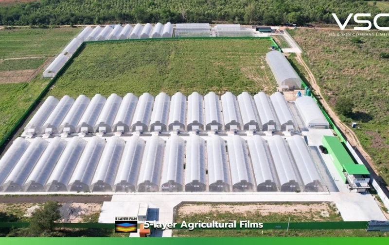 พลาสติกสูตรลดความร้อนกระจายแสง (VSC cooling diffused film) ฟาร์มกัญชา จ.เชียงใหม่