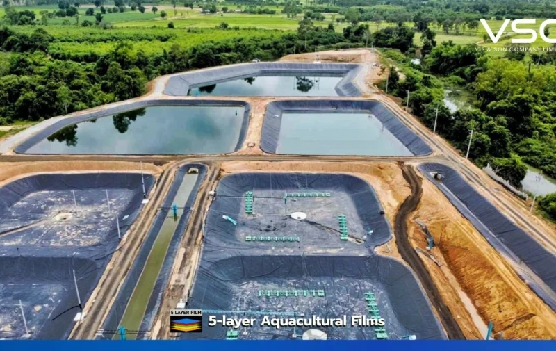 แผ่น HDPE Geomembrane คุณภาพสูง ความหนา 1.50 มิลลิเมตร สำหรับฟาร์มปลา จ. บุรีรัมย์