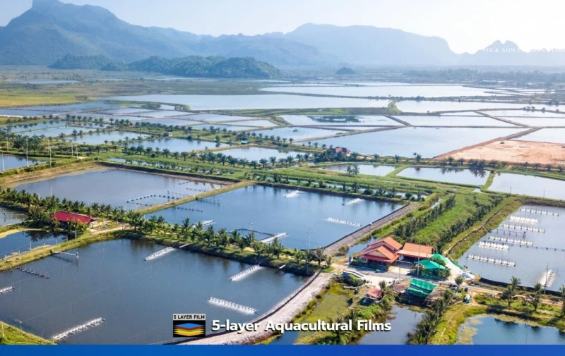 พลาสติกปูบ่อ สำหรับฟาร์มกุ้ง จ.สุราษฎร์ธานี