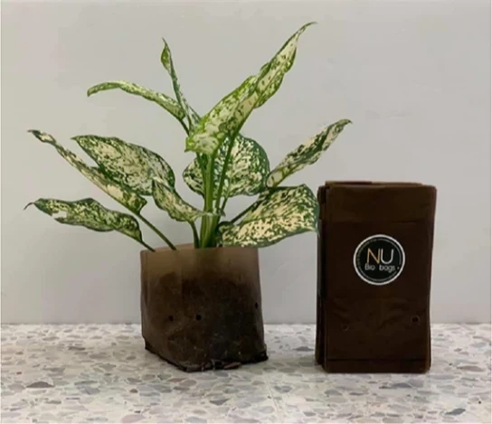 Bio compostable grow bag (collaboration project with NU)
