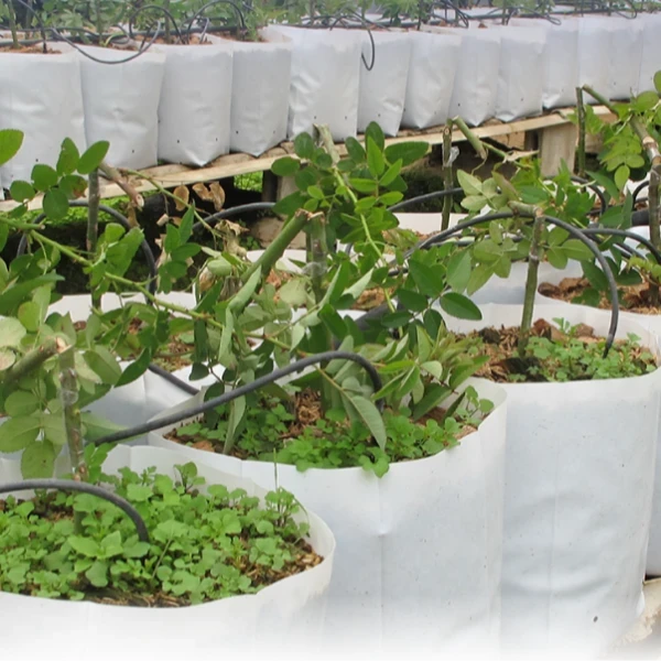 Grow Bag