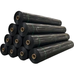 HDPE Geomembrane